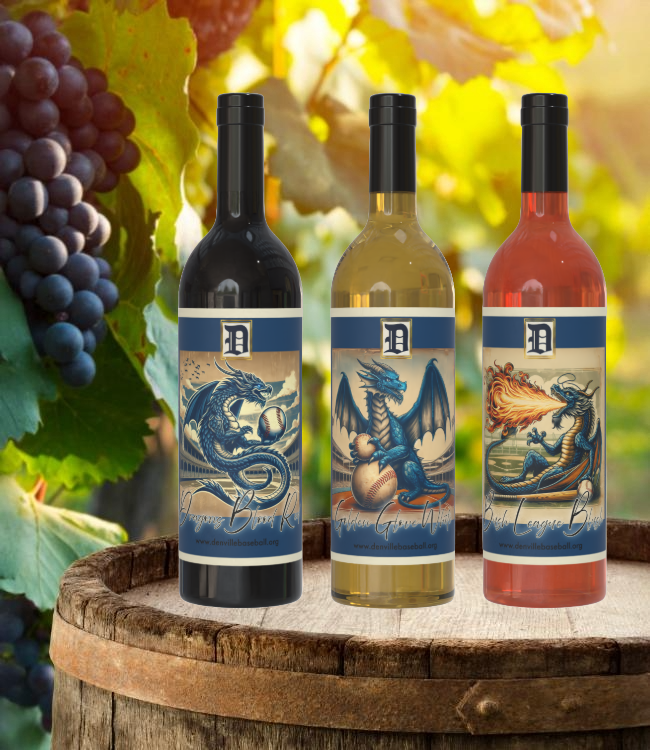 12U Grey Dragon's-Themed Wine Fundraiser